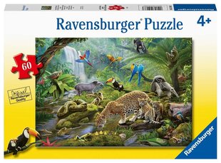Пазл Ravensburger с животными Животные тропического леса, 5166, 60 д. цена и информация | Пазлы | hansapost.ee
