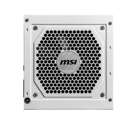 MSI MAG A850GL hind ja info | Toiteplokid | hansapost.ee