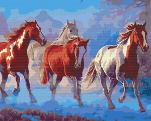 Картинка Раскрась! Рисование по номерам. Табун лошадей цена и информация | Живопись по номерам | hansapost.ee