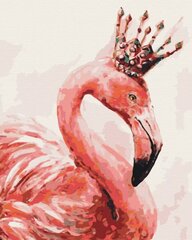 Maalimine numbrite järgi Symag Flamingo krooniga hind ja info | Maalimiskomplektid numbrite järgi | hansapost.ee