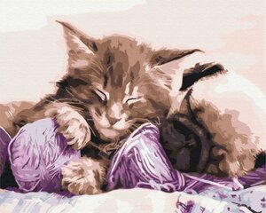Картинка Раскрась! Рисование по номерам. Кошка и собака цена и информация | Живопись по номерам | hansapost.ee