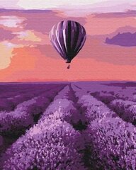 Картинка Раскрась! Воздушный шар в Провансе цена и информация | Живопись по номерам | hansapost.ee