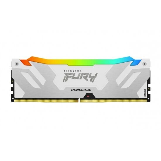 Kingston Fury Renegade RGB (KF564C32RWA-16) hind ja info | Operatiivmälu | hansapost.ee