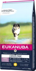 Eukanuba Puppy Grain Free L suurt tõugu kutsikatele, 12 kg hind ja info | Koerte kuivtoit ja krõbinad | hansapost.ee