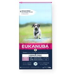 Eukanuba Grain Free Large Puppy suurt tõugu kutsikatele koos kalaga, 12 kg hind ja info | Eukanuba Lemmikloomatarbed | hansapost.ee