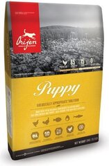 Acana Orijen Puppy для маленьких щенков, 6 кг. цена и информация | Сухой корм для собак | hansapost.ee