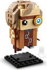 Lego® 40560 Sigatüüka™ professorid hind ja info | Klotsid ja konstruktorid | hansapost.ee