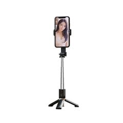 XO Selfie Stick SS10 80cm, must цена и информация | Моноподы для селфи («Selfie sticks») | hansapost.ee