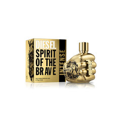 Meeste parfüüm Diesel Spirit Of The Brave Intense EDP (125 ml) hind ja info | Parfüümid meestele | hansapost.ee