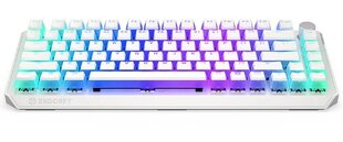 Endorfy Thock 75% RGB Kailh Красный переключатель цена и информация | Клавиатуры | hansapost.ee