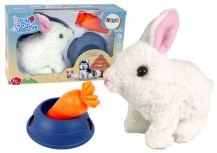 Interaktiivne jänes koos tarvikutega Lean Toys цена и информация | Игрушки для малышей | hansapost.ee