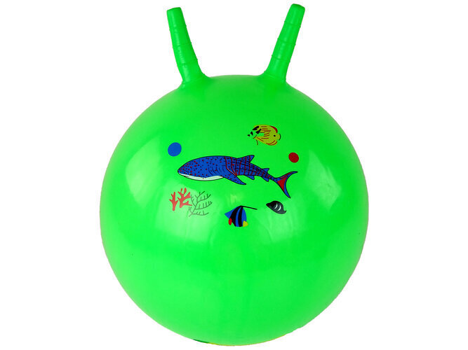 Hüppepall, roheline цена и информация | Ranna- ja õuemänguasjad | hansapost.ee