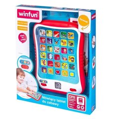 Планшет Winfun Bystry цена и информация | Игрушки для малышей | hansapost.ee