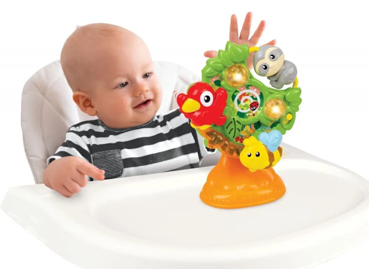 Interaktiivne mänguasi Winfun Jungle friends hind ja info | Beebide mänguasjad | hansapost.ee