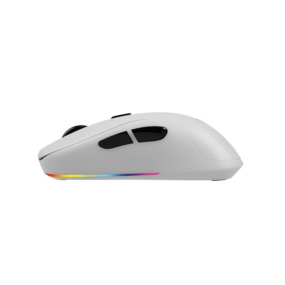 Savio Rift White RGB цена и информация | Arvutihiired | hansapost.ee