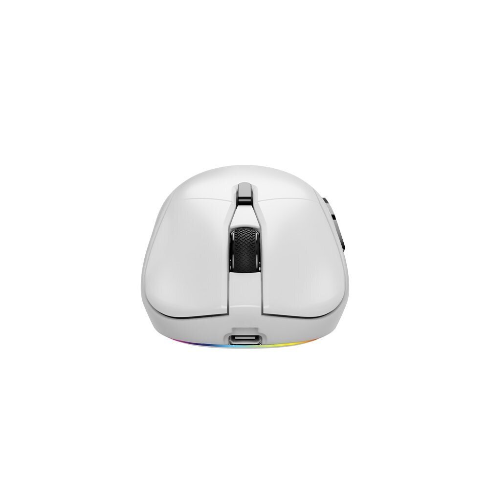 Savio Rift White RGB hind ja info | Arvutihiired | hansapost.ee