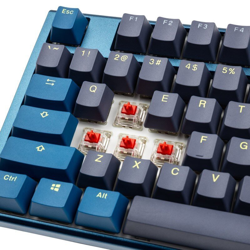 Ducky ONE 3 Daybreak RGB US MX Red Switch цена и информация | Klaviatuurid | hansapost.ee