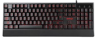 Activejet K-3255 цена и информация | Клавиатура с игровой мышью 3GO COMBODRILEW2 USB ES | hansapost.ee