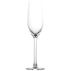 Šampanjaklaasid Ambition Venus, 170 ml, 6 tk hind ja info | Klaasid, kruusid ja kannud | hansapost.ee