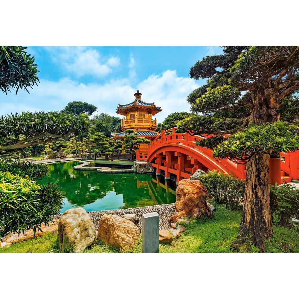 Pusle Castorland Nan Liani aed, Hongkong, 1000 p. цена и информация | Pusled lastele ja täiskasvanutele | hansapost.ee