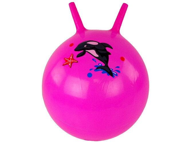 Hüppepall, roosa hind ja info | Ranna- ja õuemänguasjad | hansapost.ee