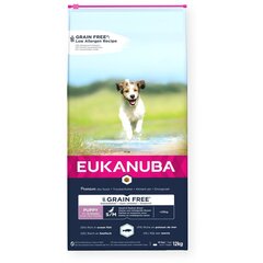 Eukanuba Grain Free Puppy väikestele/keskmise suurusega kutsikatele koos kalaga, 12 kg цена и информация | Сухой корм для собак | hansapost.ee