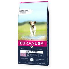 Eukanuba Grain Free Puppy väikestele/keskmise suurusega kutsikatele koos kalaga, 12 kg hind ja info | Koerte kuivtoit ja krõbinad | hansapost.ee