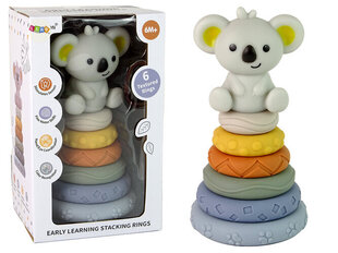 Piramidė Koala kūdikiams цена и информация | Игрушки для малышей | hansapost.ee