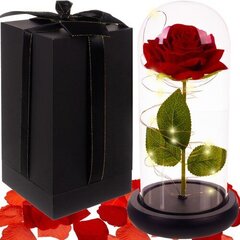 Стабилизированная роза, светящаяся роза в стакане цена и информация | Стабилизированные розы, растения | hansapost.ee