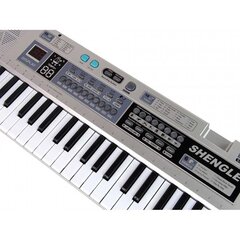 Klaver mikrofoniga Lean Toys Keyboard MQ-6110 hind ja info | Arendavad laste mänguasjad | hansapost.ee