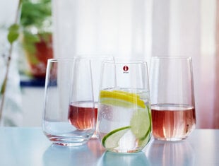 Iittala Essence universaalne klaas 55 cl, 2 tk hind ja info | Klaasid, kruusid ja kannud | hansapost.ee