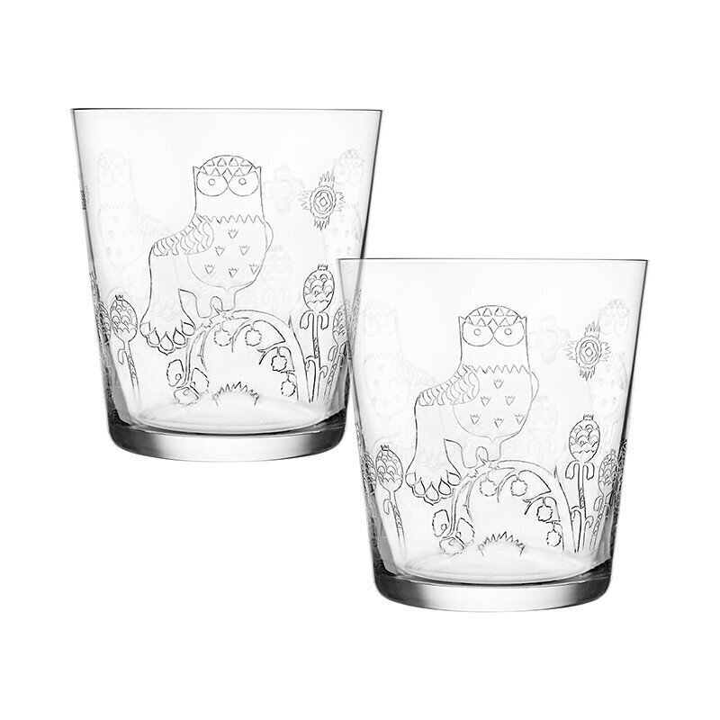 Iittala Taika klaas 38 cl, 2 tk. hind ja info | Klaasid, kruusid ja kannud | hansapost.ee