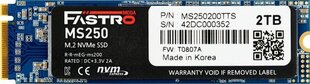 Megafastro MS250 (MS250200TTS) цена и информация | Внутренние жёсткие диски (HDD, SSD, Hybrid) | hansapost.ee