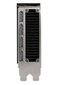 PNY Nvidia RTX 5000 Ada (VCNRTX5000ADA-PB) hind ja info | Videokaardid | hansapost.ee