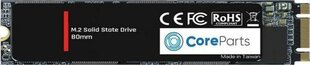 CoreParts CPSSD-M.2SATA-512GB hind ja info | CoreParts Arvuti komponendid | hansapost.ee