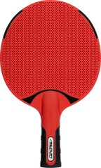 Table tennis bat outdoor AVENTO 46TY цена и информация | Ракетки для настольного тенниса, чехлы и наборы | hansapost.ee