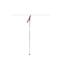 Murdmaasuusakepid Apollo, 110 cm цена и информация | Лыжные палки | hansapost.ee