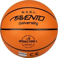 Basketball ball AVENTO JUNIOR SQUAD 47BA 5d цена и информация | Баскетбольные мячи | hansapost.ee