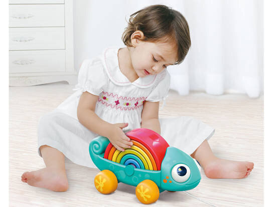 Montessori pusle Kameeleon Hola цена и информация | Beebide mänguasjad | hansapost.ee