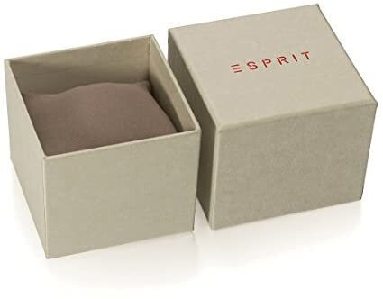 Naiste käekell Esprit Breezy Stones Leather Silver цена и информация | Käekellad naistele | hansapost.ee