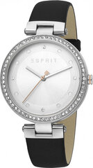 Женские часы Esprit Breezy Stones Leather Silver цена и информация | Женские часы | hansapost.ee