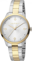 Женские часы Esprit ES1L164M0075 цена и информация | Женские часы | hansapost.ee