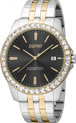 Женские часы Esprit ES1L318M0095 цена и информация | Женские часы | hansapost.ee