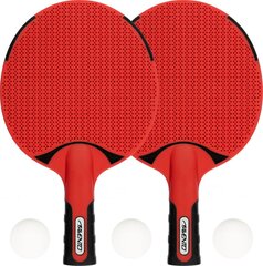 Table tennis bat set AVENTO outdoor 46TZ цена и информация | Ракетки для настольного тенниса, чехлы и наборы | hansapost.ee