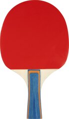 Table tennis bat AVENTO 46TJ цена и информация | Ракетки для настольного тенниса, чехлы и наборы | hansapost.ee