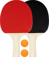 Table tennis set AVENTO for 2 players цена и информация | Ракетки для настольного тенниса, чехлы и наборы | hansapost.ee