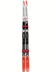 Детские беговые лыжи Delta Step, 140 см цена и информация | Беговые лыжи | hansapost.ee
