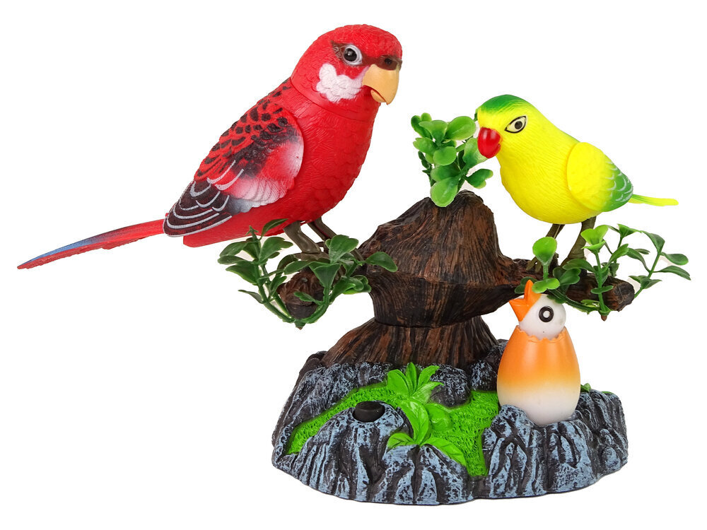 Interaktiivsed papagoid Lean Toys, 2 tk. цена и информация | Mänguasjad poistele | hansapost.ee