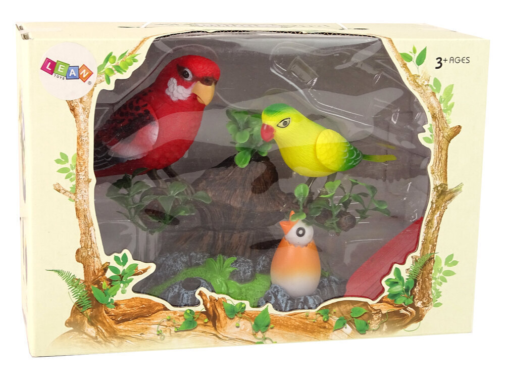 Interaktiivsed papagoid Lean Toys, 2 tk. hind ja info | Mänguasjad poistele | hansapost.ee
