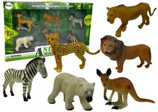 Aafrika metsloomade kujukeste komplekt Lean Toys hind ja info | Arendavad laste mänguasjad | hansapost.ee